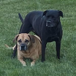 Meet your Posher, Jeannette